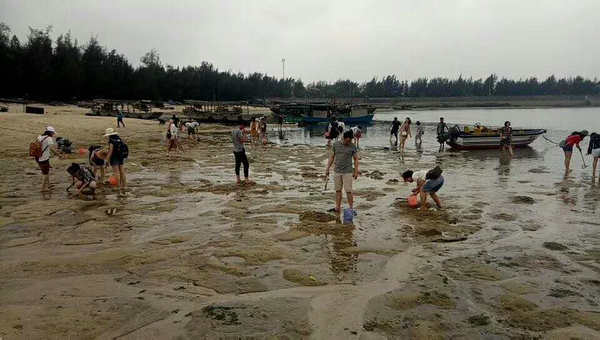 北海红树林疍家赶海
