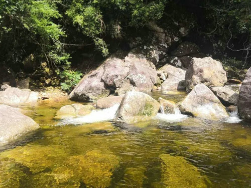 上思十万大山