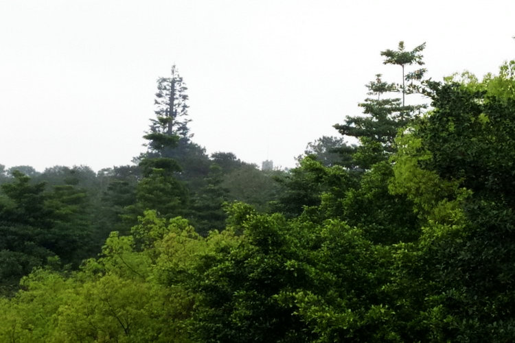 南宁青秀山