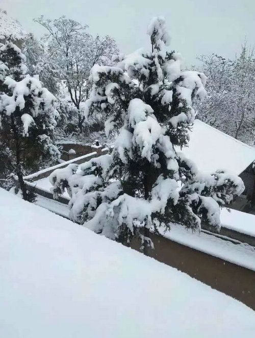 北方的冬天