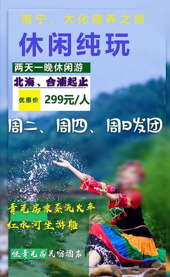 河池大化南宁康养2日游