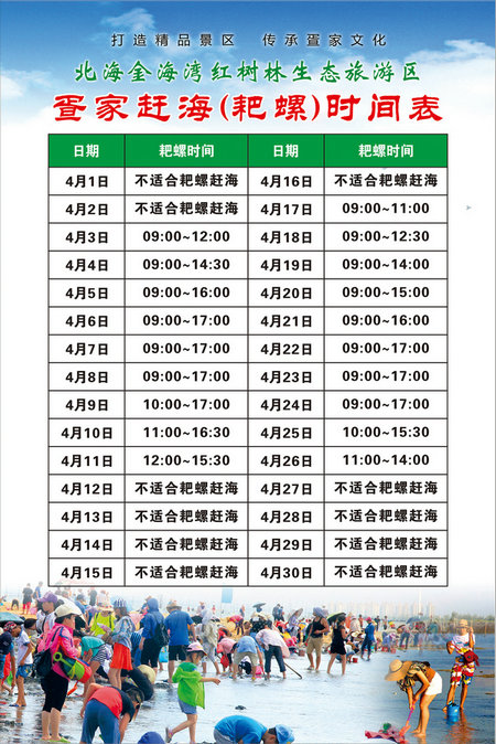 4月份北海金海湾红树林赶海时间