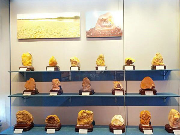 涠洲岛地质博物馆