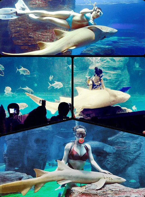 北海海洋之窗