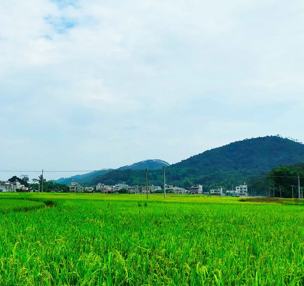 合浦