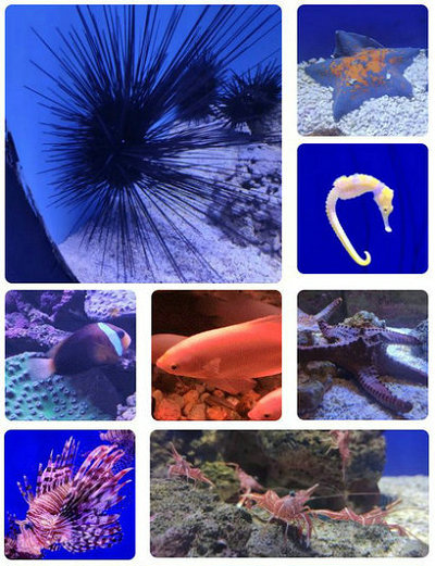 北海海底世界
